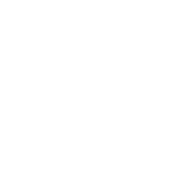 VICO Solutions Logo